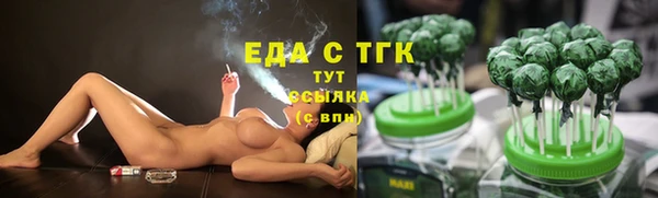 индика Вязьма